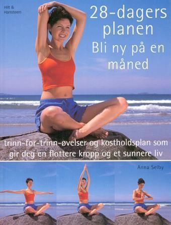 28-dagersplanen