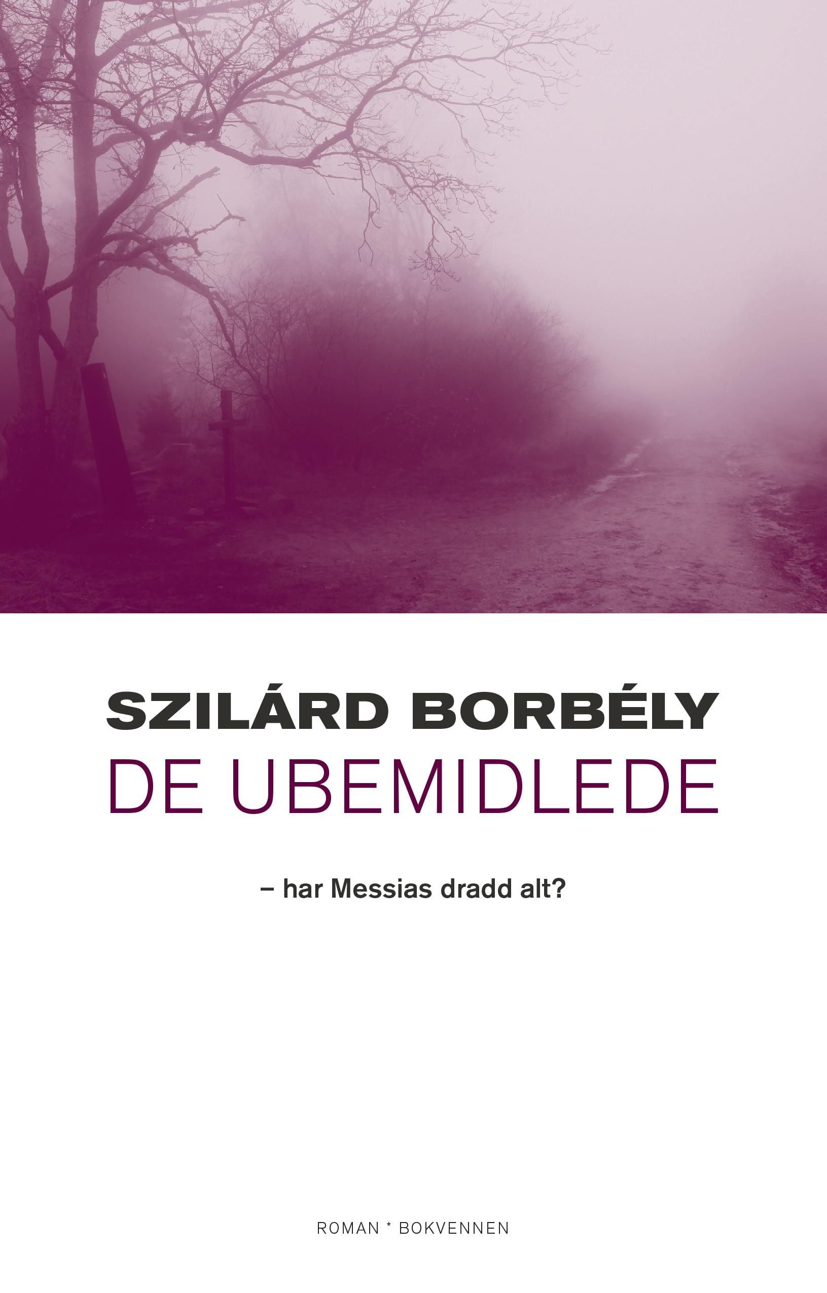 De ubemidlede
