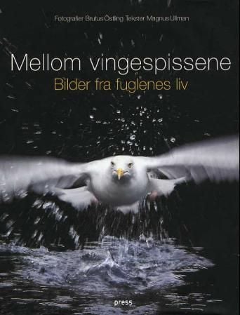 Mellom vingespissene