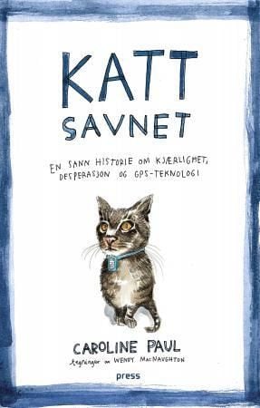 Katt savnet