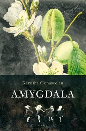 Amygdala