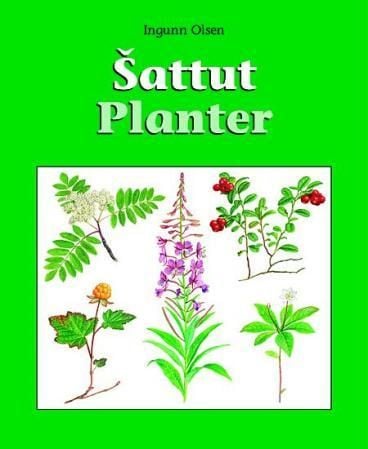 Sattut = Planter