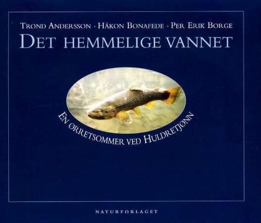 Det hemmelige vannet