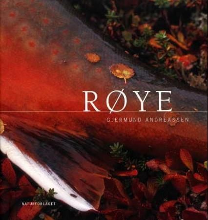 Røye