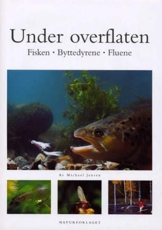 Under overflaten