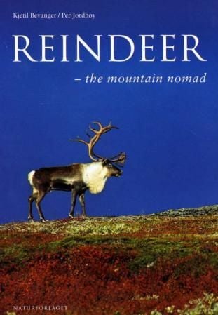 Reindeer