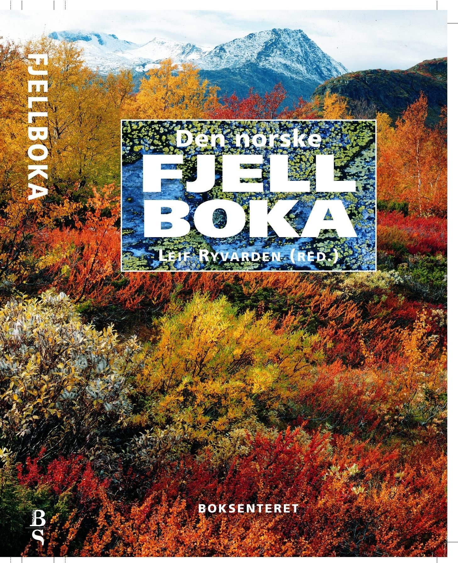 Den norske fjellboka
