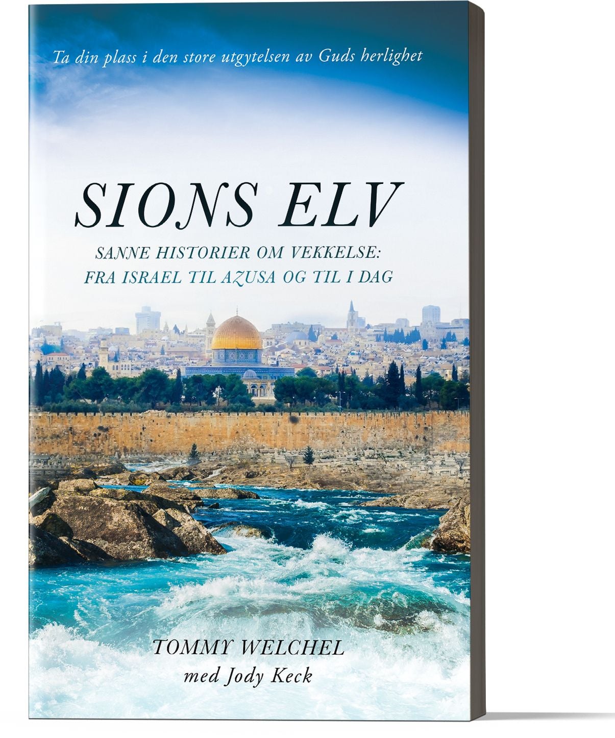 Sions elv