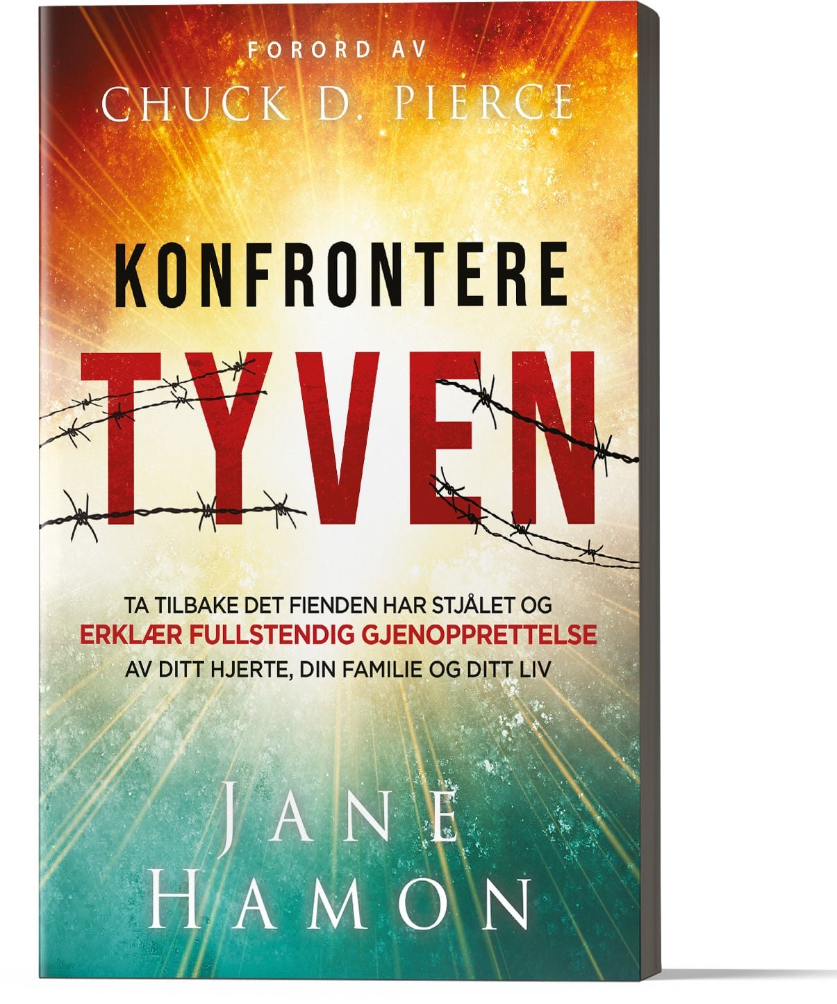Konfrontere tyven