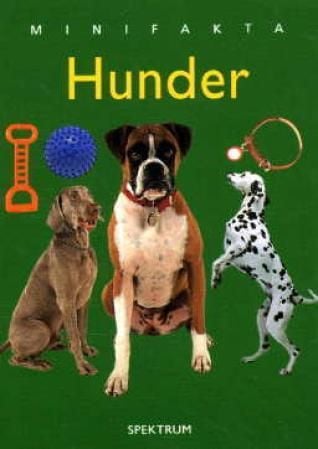 Hunder