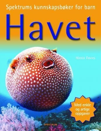 Havet