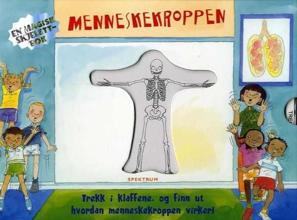 Menneskekroppen