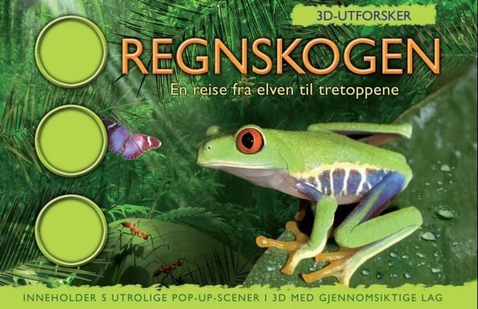 Regnskogen