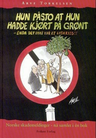 Hun påsto at hun hadde kjørt på grønt - enda det ikke var et lyskryss!
