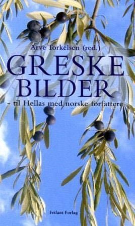 Greske bilder