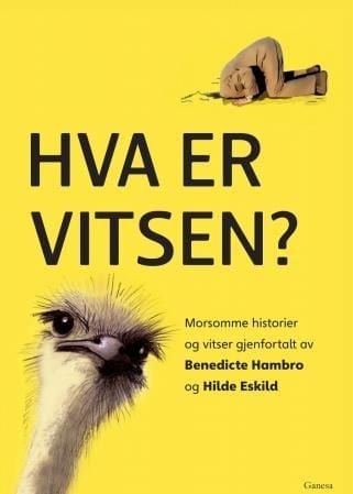 Hva er vitsen?