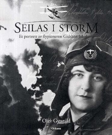 Seilas i storm