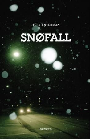 Snøfall