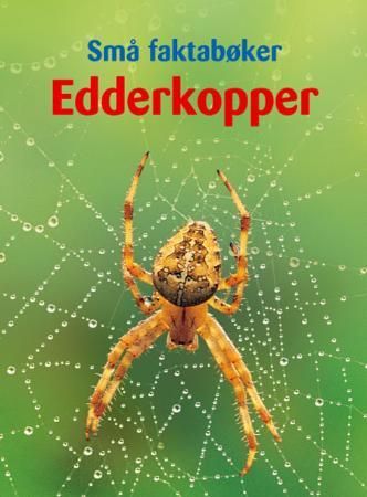 Edderkopper