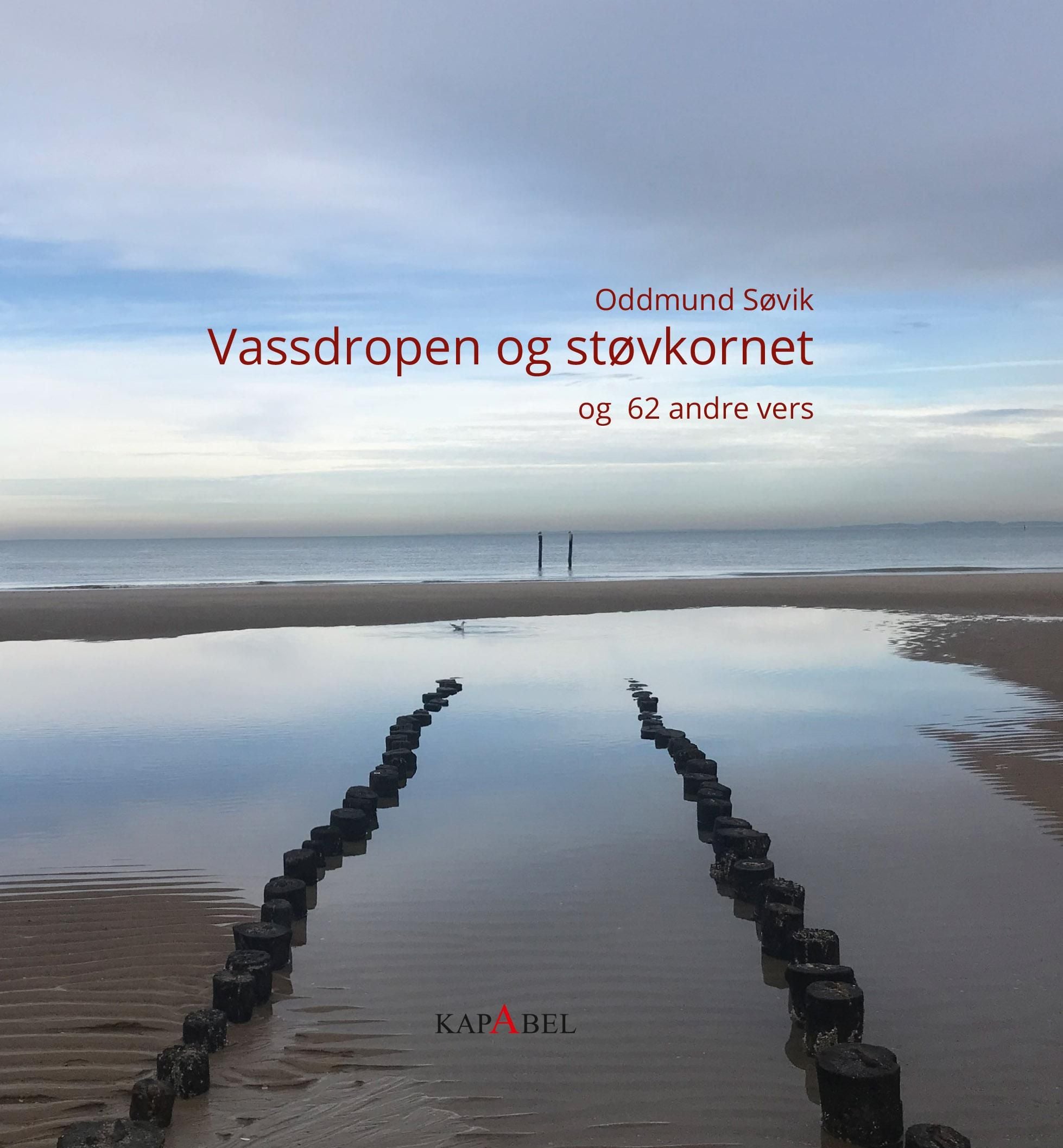 Vassdropen og støvkornet