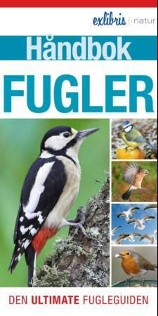 Hva er det for slags fugl