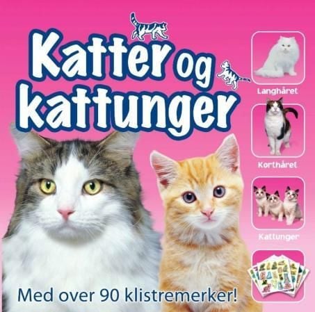 Katter og kattunger