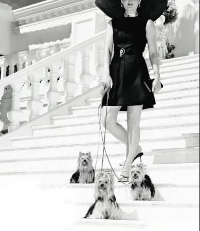 Den uproduktive klasse