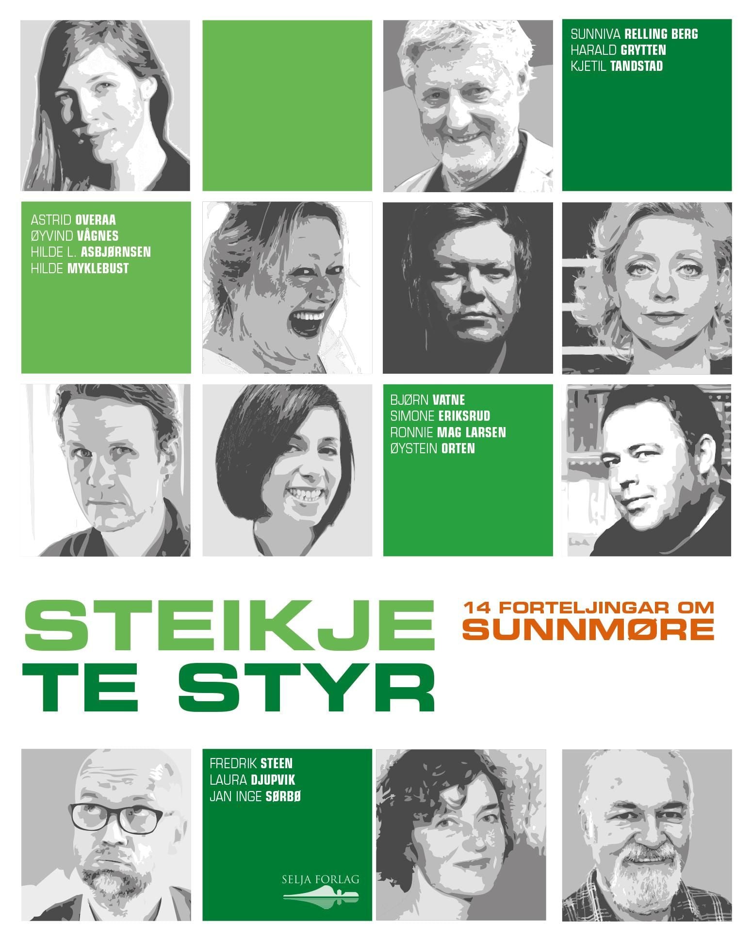 Steikje te styr