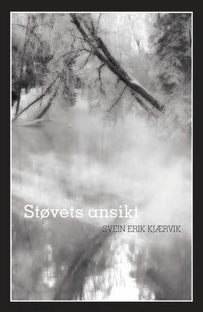 Støvets ansikt