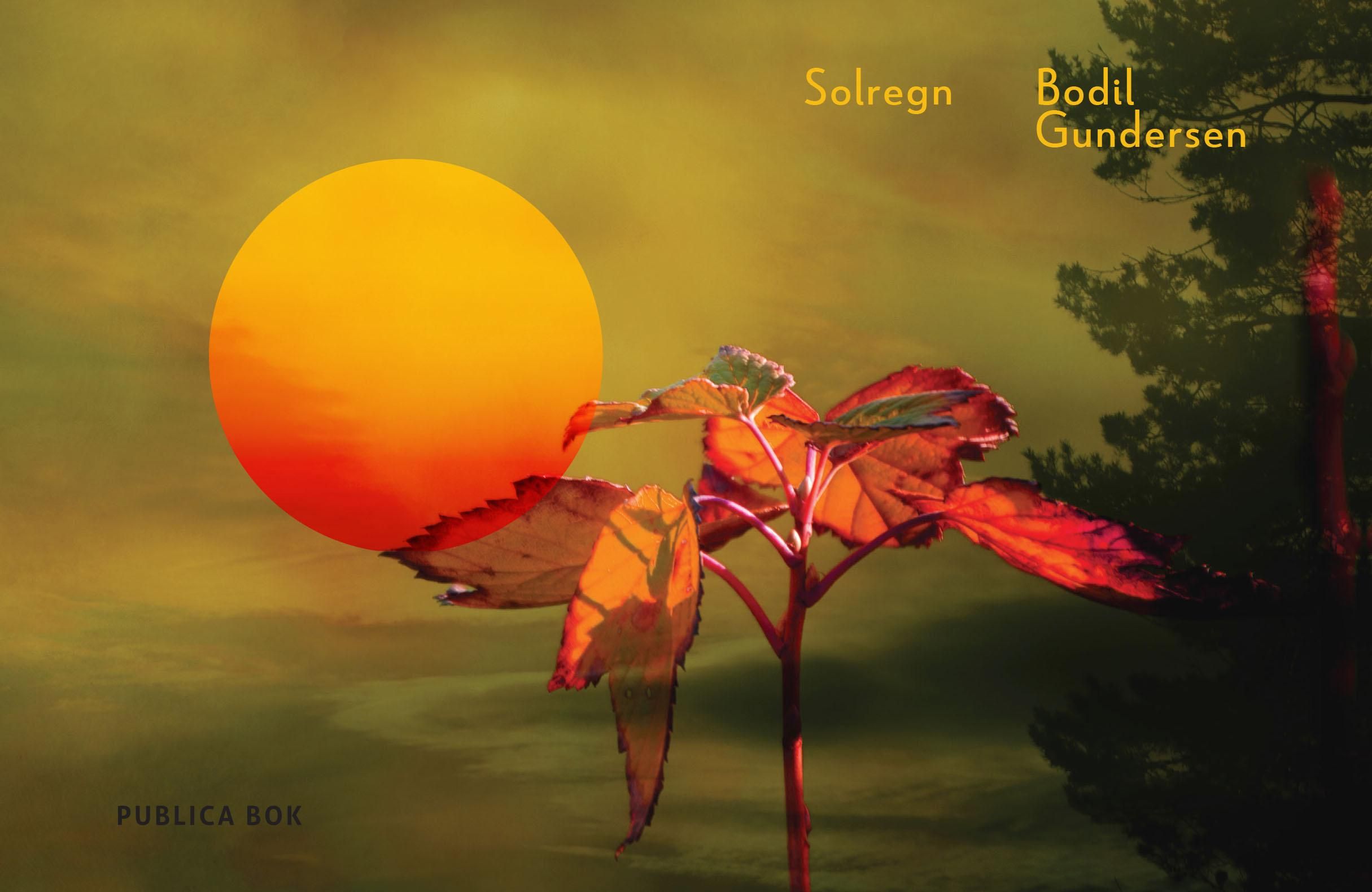 Solregn