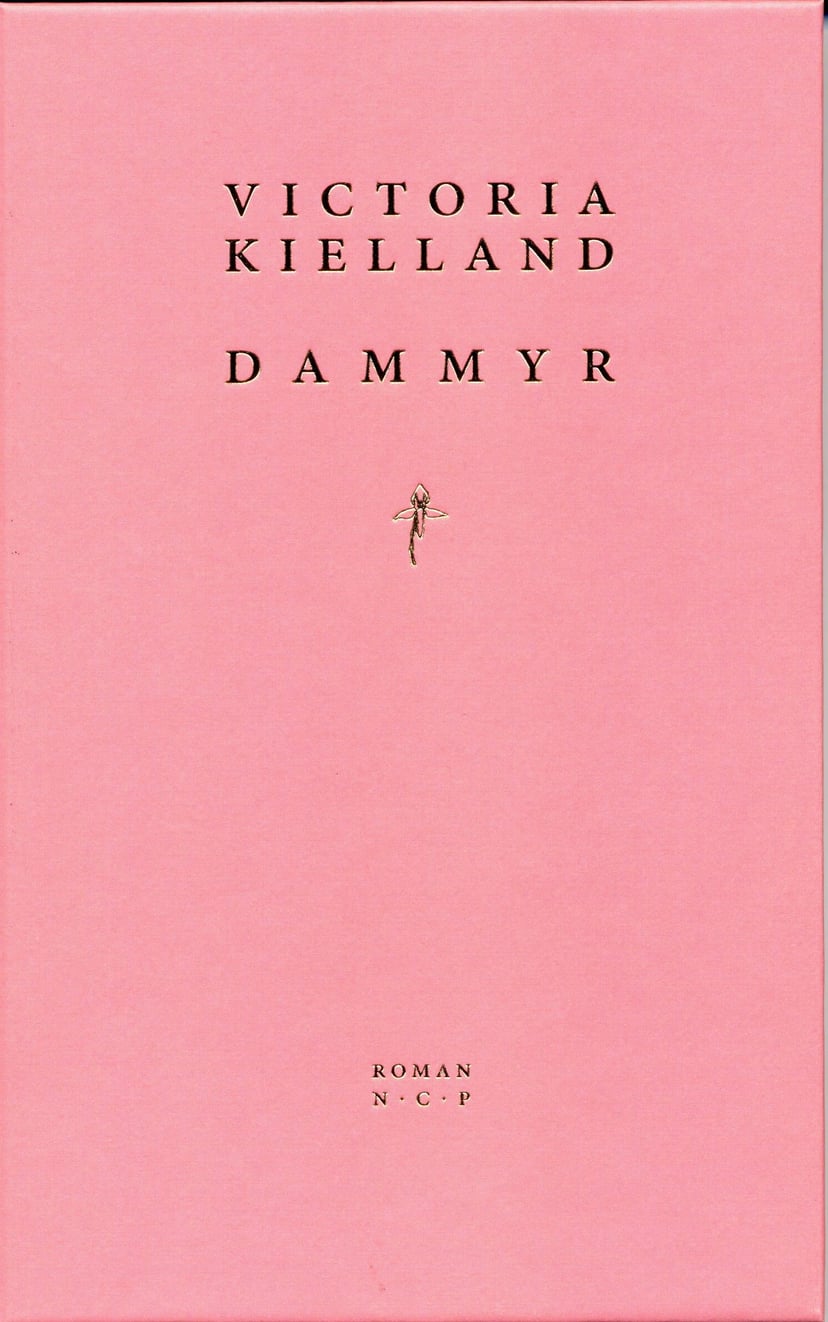 Dammyr