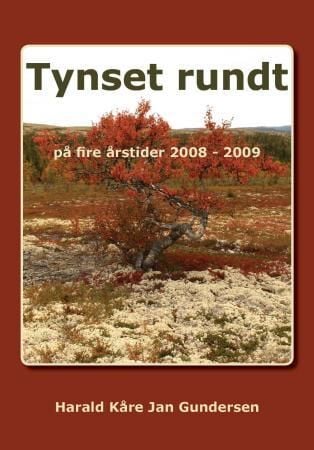 Tynset rundt på fire årstider