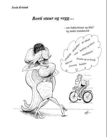 Borti staur og vegg