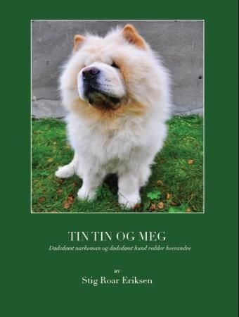 Tin tin og meg