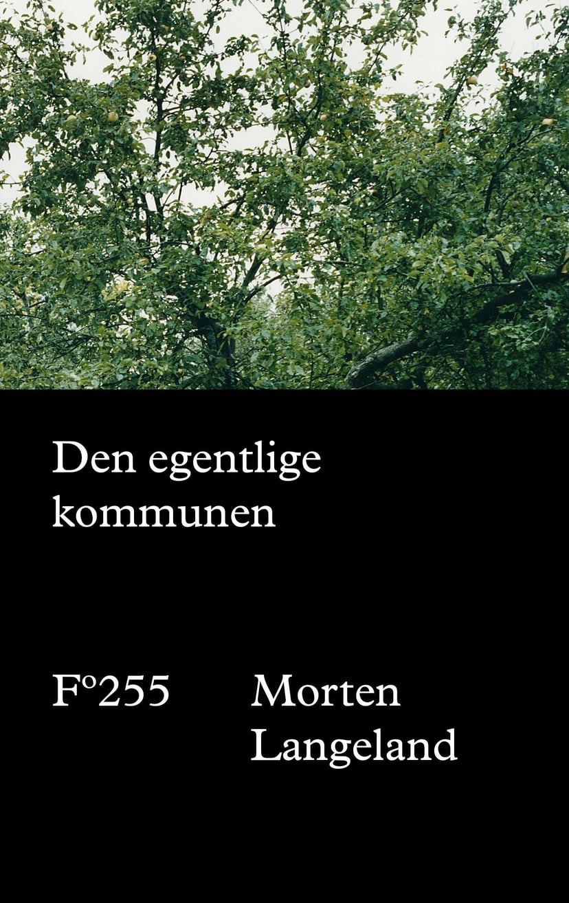 Den egentlige kommunen