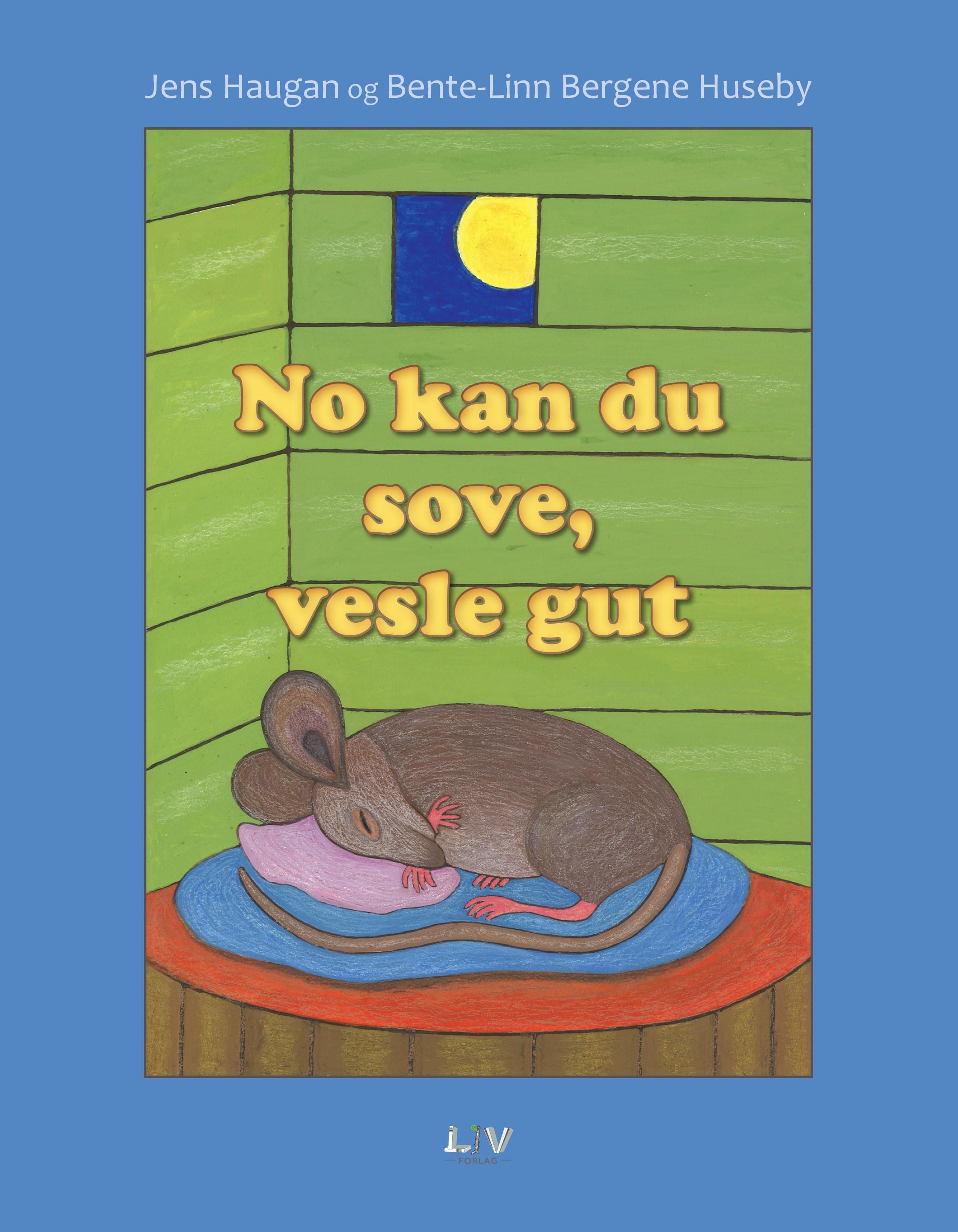 No kan du sove, vesle gut