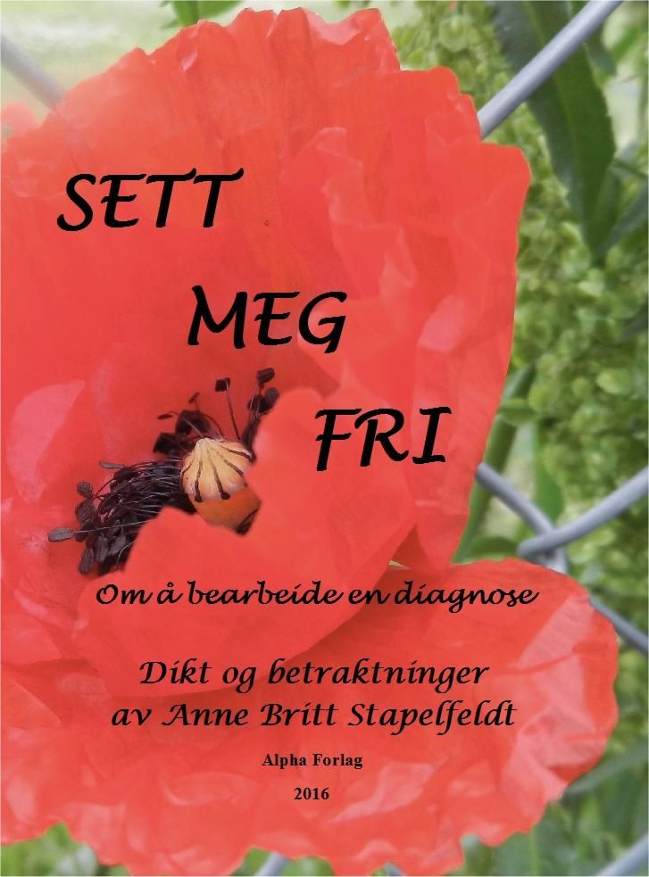 Sett meg fri