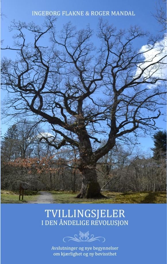 Tvillingsjeler i den åndelige revolusjon