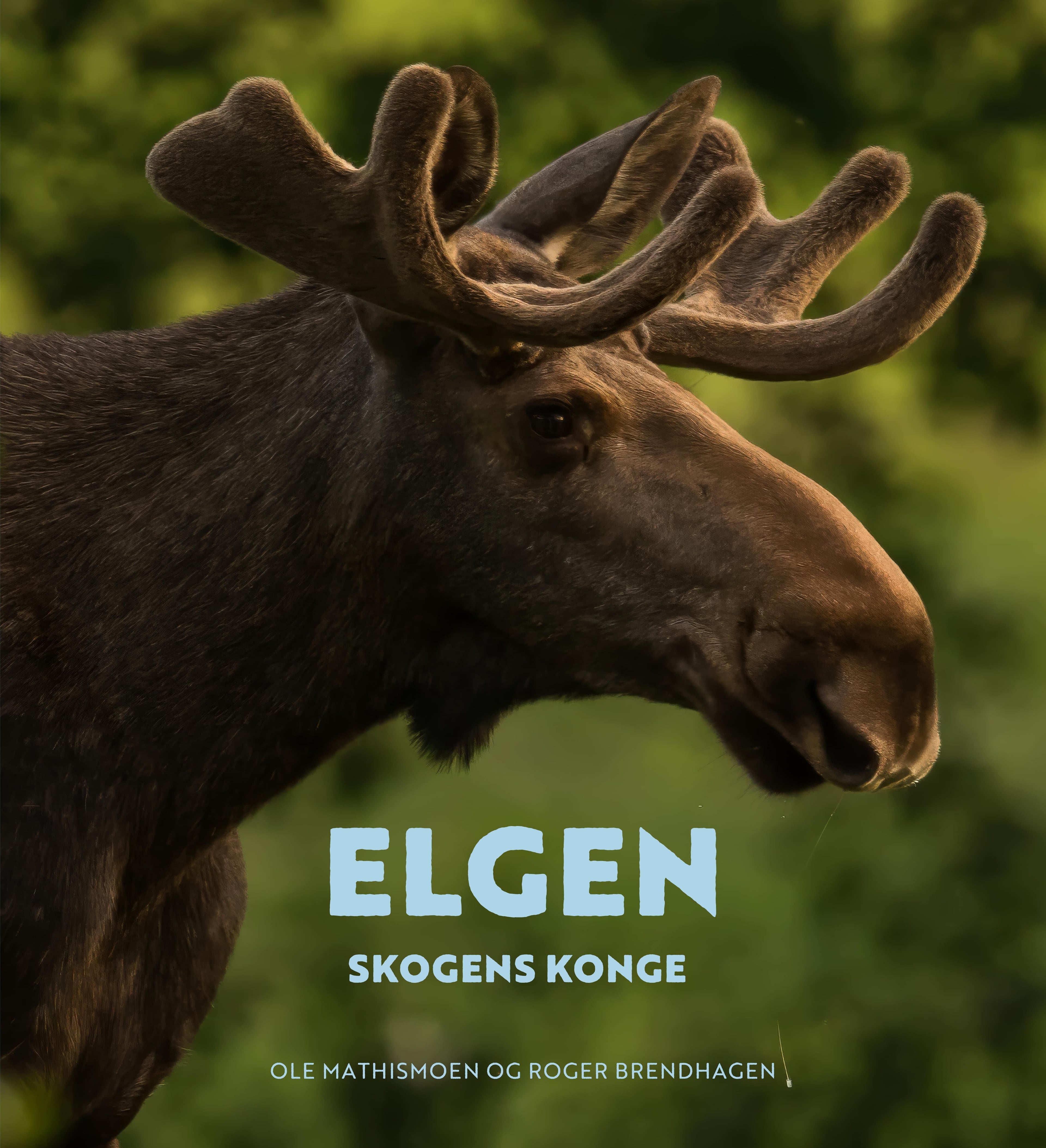 Elgen