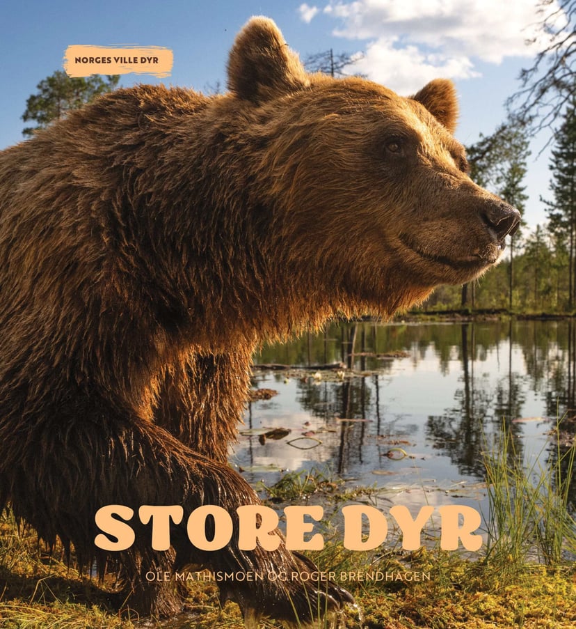 Store dyr