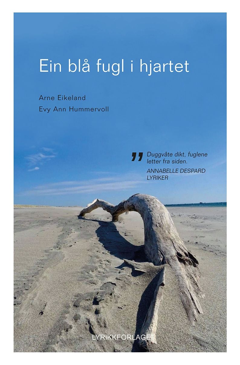 Ein blå fugl i hjartet