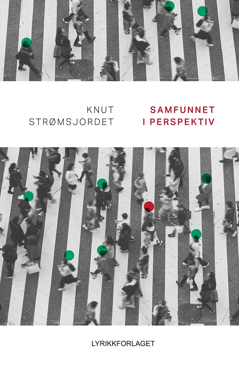 Samfunnet i perspektiv