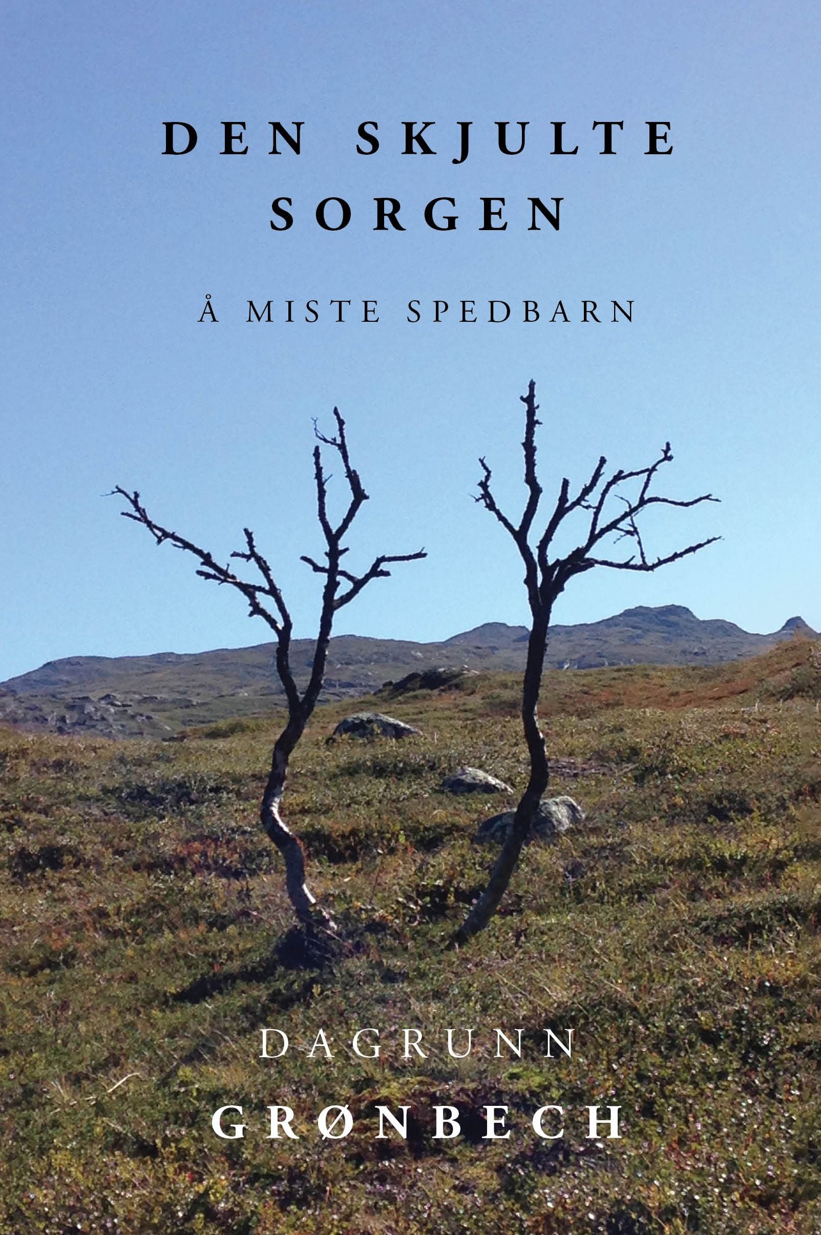 Den skjulte sorgen