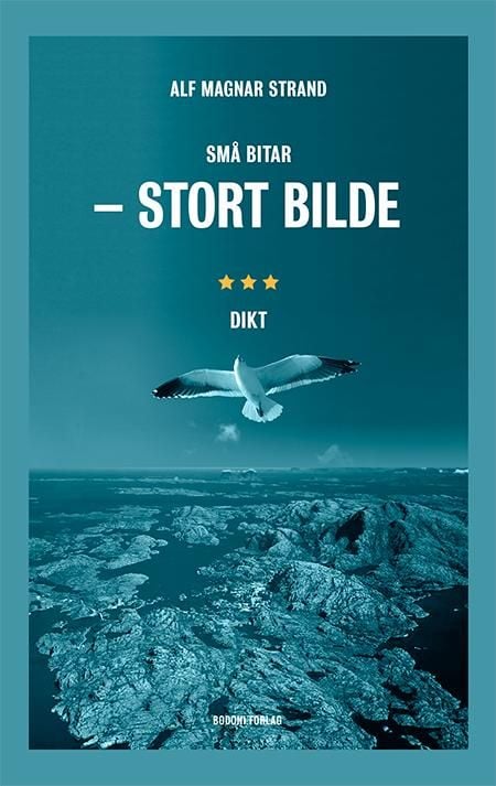 Små bitar - stort bilde