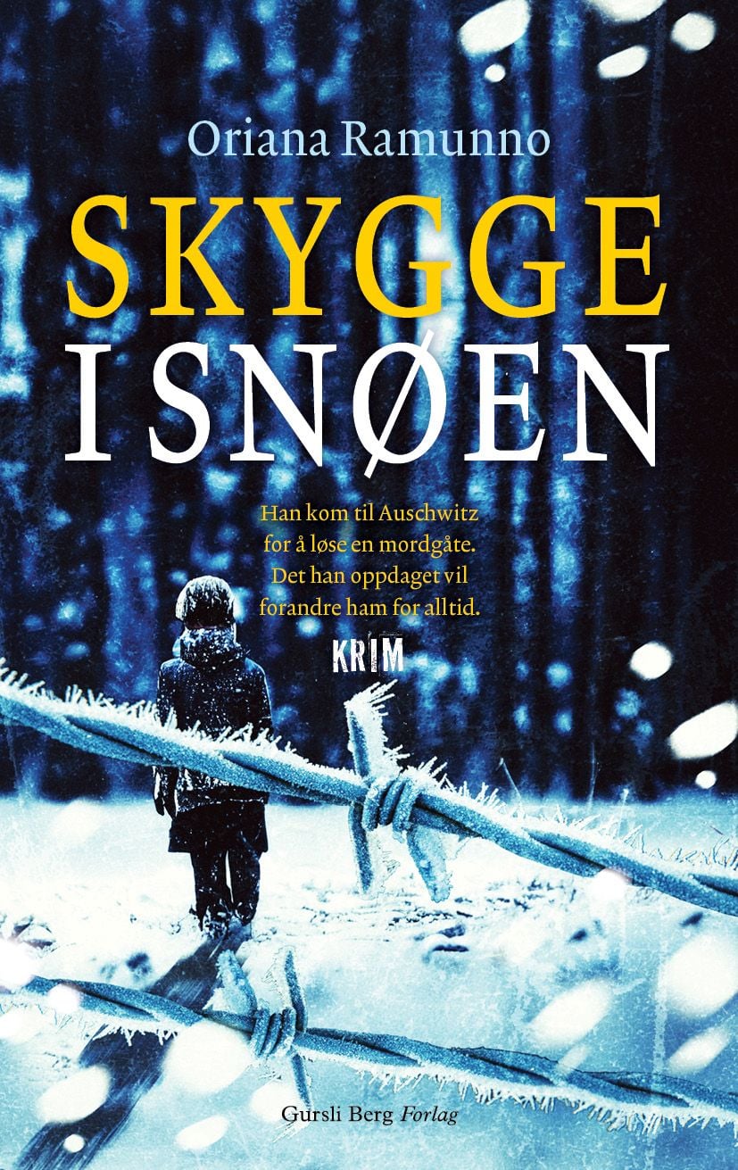 Skygge i snøen
