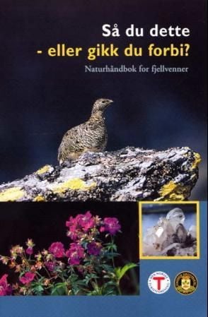 Så du dette - eller gikk du forbi?
