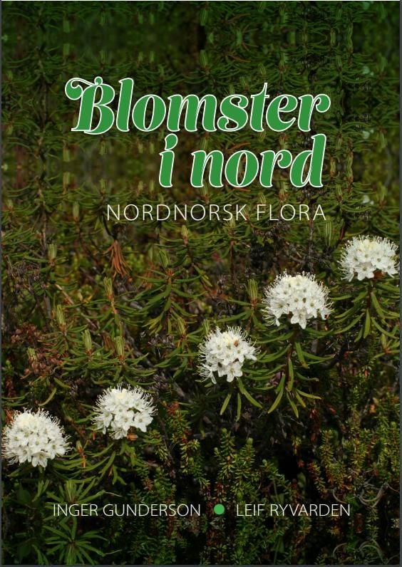 Blomster i nord