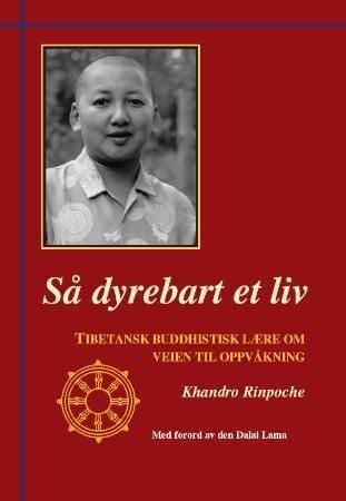 Så dyrebart et liv