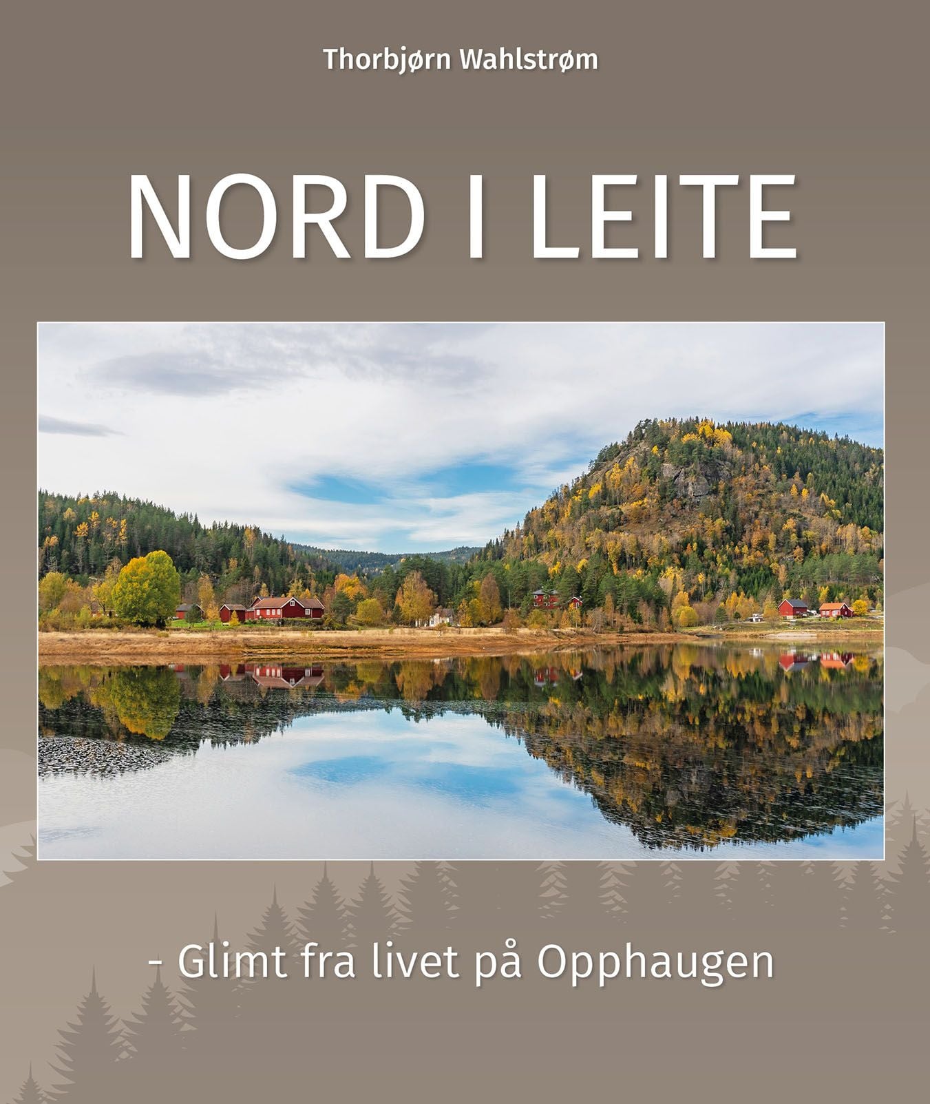 Nord i leite