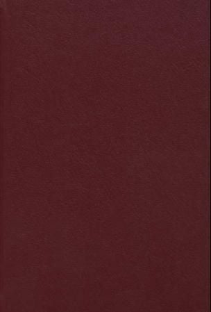 Det grenseløse folket. Bd. 1
